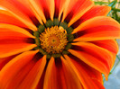 DSCN4075