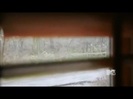 Demi Lovato - Stay Strong Premiere Documentary Full 39109