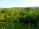Picture 044