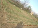 DSCN1800