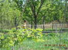DSCN2591
