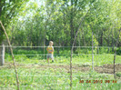DSCN2595