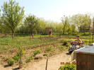 DSCN2602
