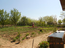DSCN2603