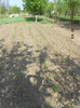 DSCN2679