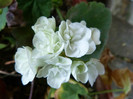 P1050385
