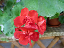 P1050408