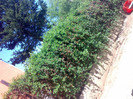 30042012841