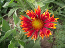 DSCF7033