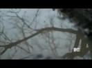 Demi Lovato - Stay Strong Premiere Documentary Full 41433