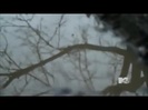 Demi Lovato - Stay Strong Premiere Documentary Full 41435