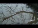 Demi Lovato - Stay Strong Premiere Documentary Full 41441