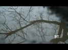 Demi Lovato - Stay Strong Premiere Documentary Full 41444