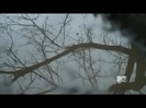 Demi Lovato - Stay Strong Premiere Documentary Full 41446