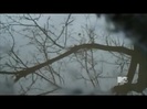 Demi Lovato - Stay Strong Premiere Documentary Full 41451