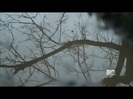 Demi Lovato - Stay Strong Premiere Documentary Full 41453