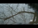 Demi Lovato - Stay Strong Premiere Documentary Full 41454