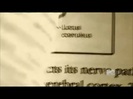Demi Lovato - Stay Strong Premiere Documentary Full 42079
