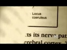 Demi Lovato - Stay Strong Premiere Documentary Full 42080