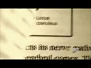 Demi Lovato - Stay Strong Premiere Documentary Full 42086
