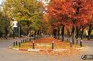 images (8)