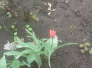 Fotografii-0086