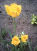 Fotografii-0108