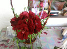 Fotografii-0119