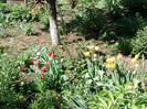 Fotografii-0124