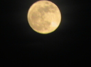 Superluna
