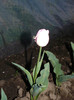 P1020700