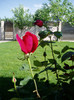 P1010057