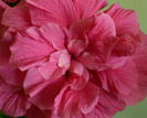 P1380998