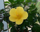 P1390016