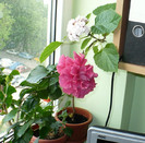 P1390018