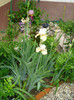 DSC08389