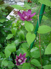 DSC08360