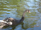DSCN0630