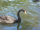 DSCN0631