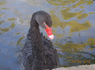 DSCN0632