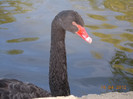 DSCN0633