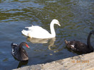 DSCN0634