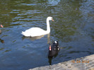 DSCN0635
