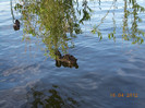 DSCN0640