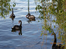 DSCN0641