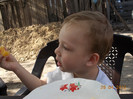 DSCN0706