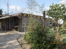 DSCN0709