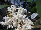 DSCN0713