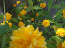 DSCN0722
