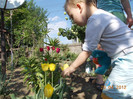 DSCN0732
